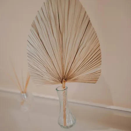 Apartment Seashell *
