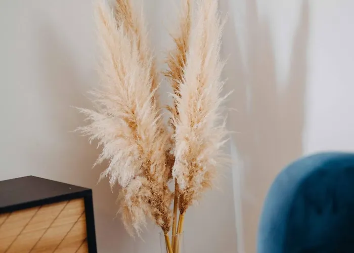 Seashell Apartment Split