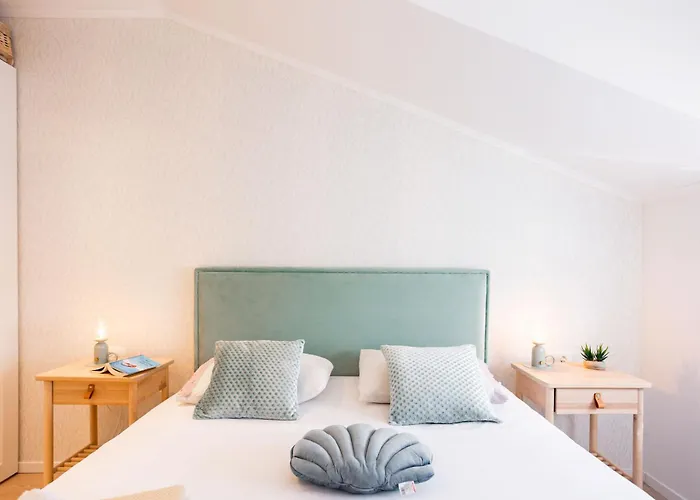 Apartment Seashell Split