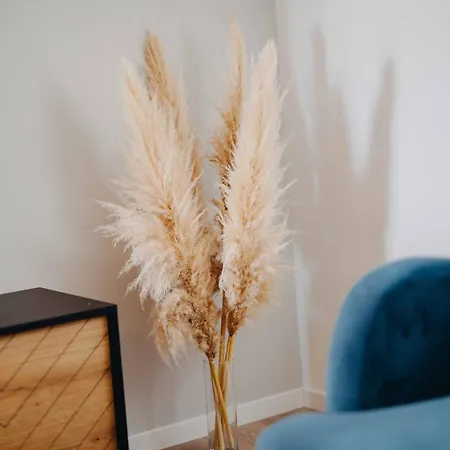 Seashell דירה ספליט